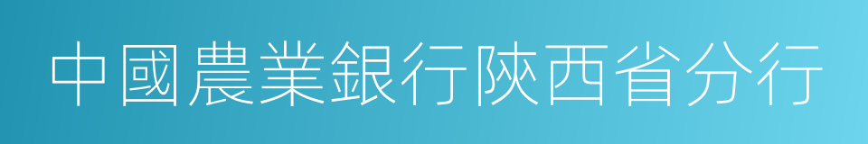 中國農業銀行陝西省分行的同義詞