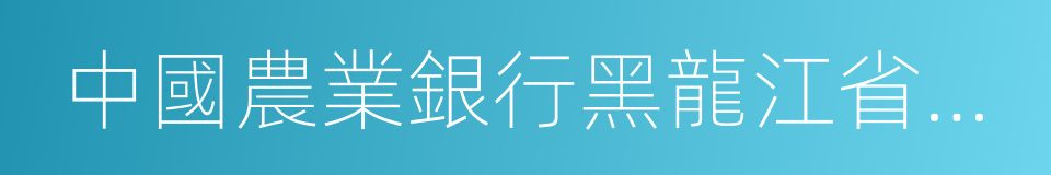 中國農業銀行黑龍江省分行的同義詞