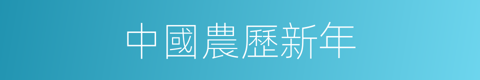中國農歷新年的同義詞