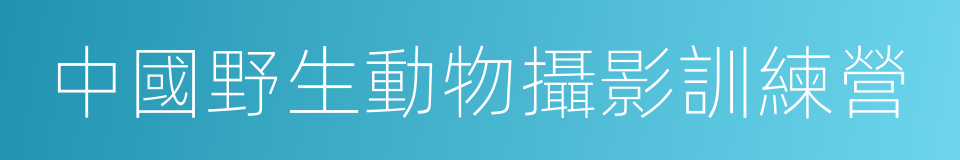 中國野生動物攝影訓練營的同義詞