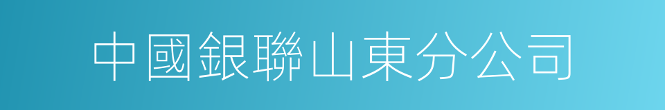 中國銀聯山東分公司的同義詞