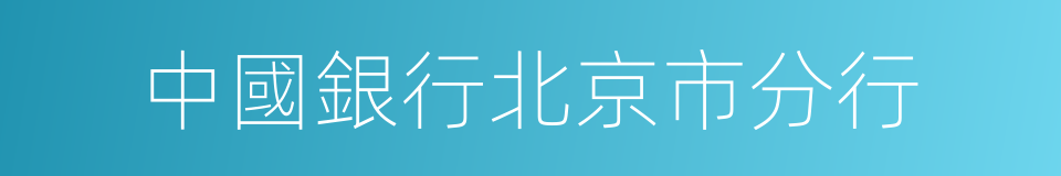 中國銀行北京市分行的同義詞