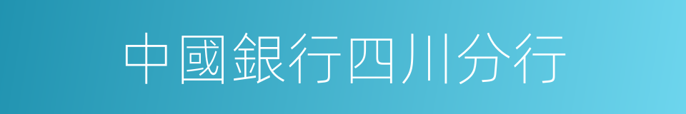 中國銀行四川分行的同義詞