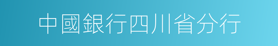 中國銀行四川省分行的同義詞