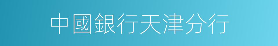 中國銀行天津分行的同義詞