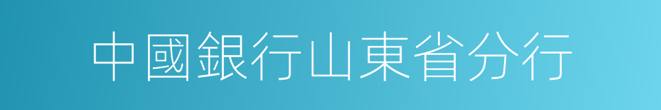 中國銀行山東省分行的同義詞