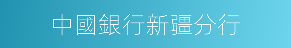 中國銀行新疆分行的同義詞