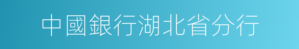 中國銀行湖北省分行的同義詞