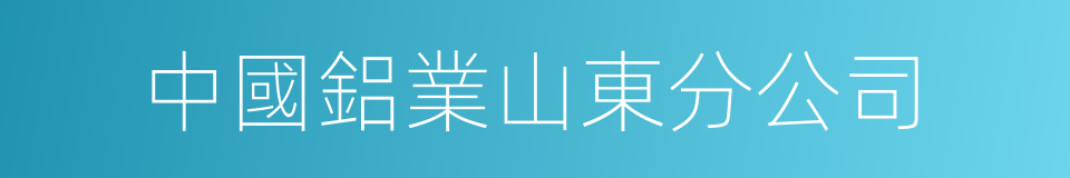 中國鋁業山東分公司的同義詞