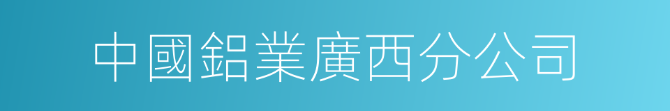 中國鋁業廣西分公司的同義詞