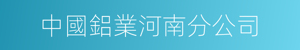 中國鋁業河南分公司的同義詞