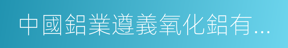 中國鋁業遵義氧化鋁有限公司的同義詞