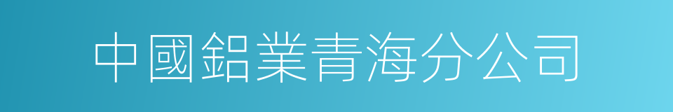 中國鋁業青海分公司的同義詞