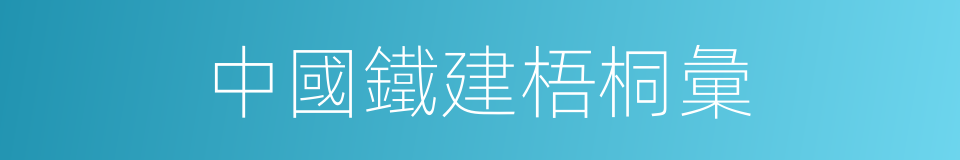 中國鐵建梧桐彙的同義詞