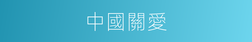 中國關愛的同義詞
