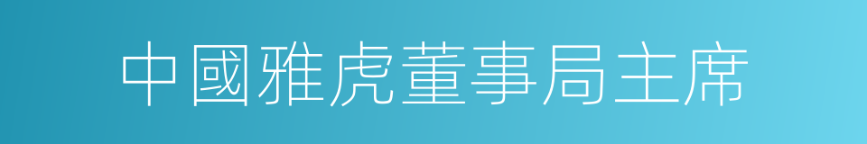 中國雅虎董事局主席的同義詞