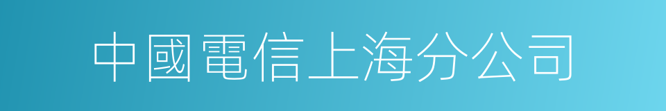 中國電信上海分公司的同義詞