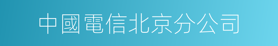 中國電信北京分公司的同義詞