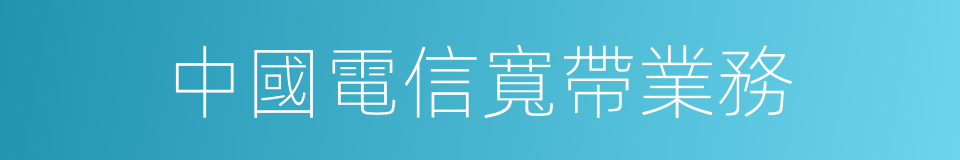 中國電信寬帶業務的同義詞