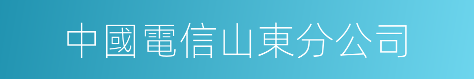 中國電信山東分公司的同義詞