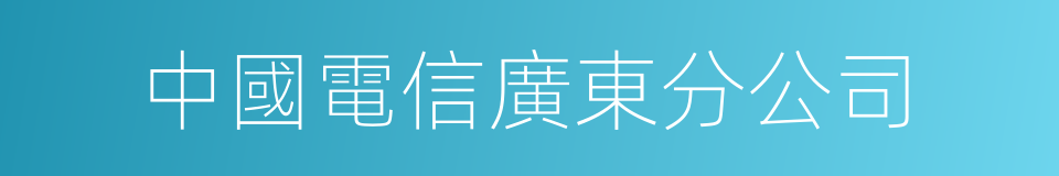 中國電信廣東分公司的同義詞