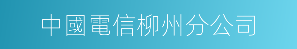 中國電信柳州分公司的同義詞