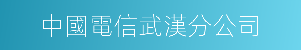 中國電信武漢分公司的同義詞