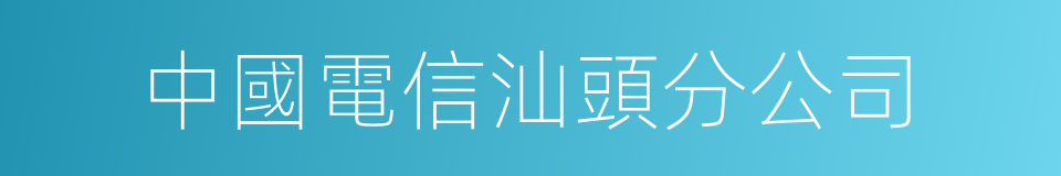 中國電信汕頭分公司的同義詞