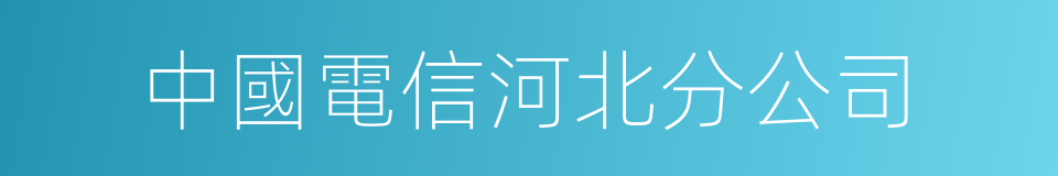 中國電信河北分公司的同義詞