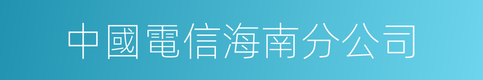 中國電信海南分公司的同義詞