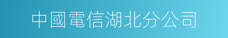 中國電信湖北分公司的同義詞