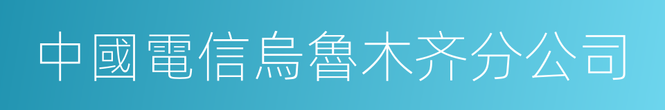 中國電信烏魯木齐分公司的同義詞