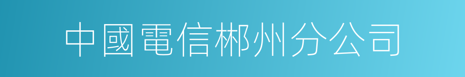 中國電信郴州分公司的同義詞