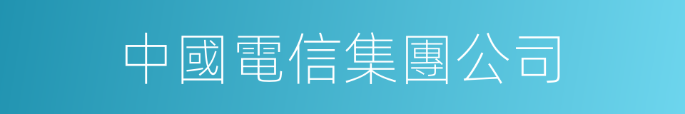 中國電信集團公司的同義詞