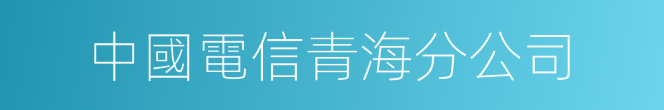 中國電信青海分公司的同義詞