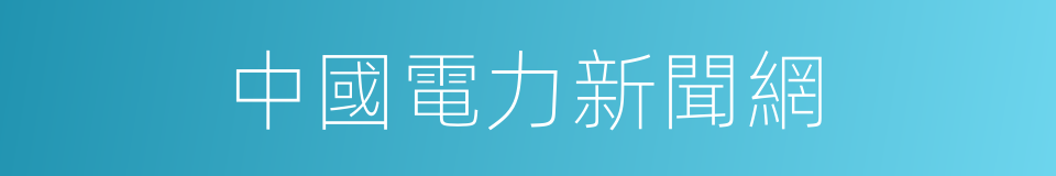 中國電力新聞網的同義詞