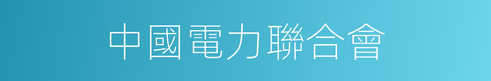 中國電力聯合會的同義詞