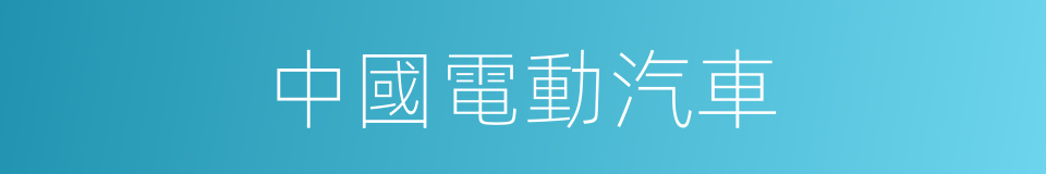 中國電動汽車的同義詞