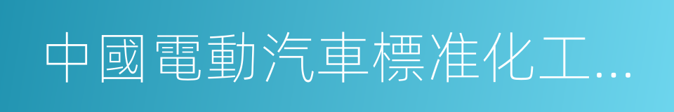 中國電動汽車標准化工作路線圖的同義詞