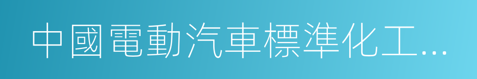 中國電動汽車標準化工作路線圖的同義詞