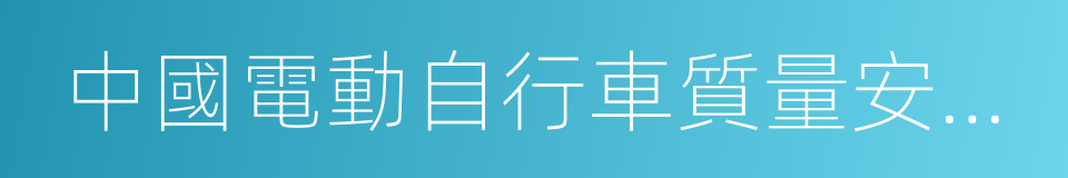 中國電動自行車質量安全白皮書的同義詞