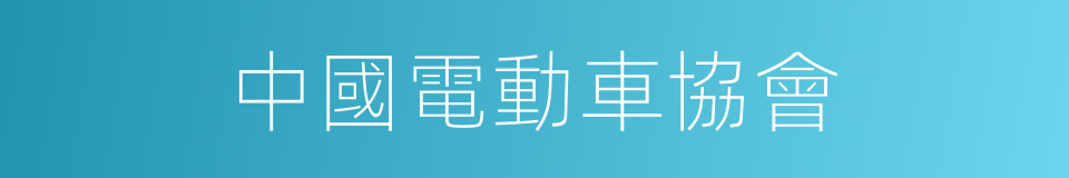 中國電動車協會的同義詞
