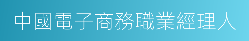 中國電子商務職業經理人的同義詞