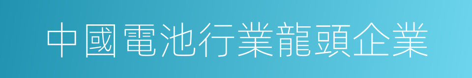 中國電池行業龍頭企業的同義詞