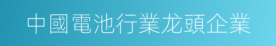 中國電池行業龙頭企業的同義詞