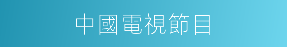 中國電視節目的同義詞