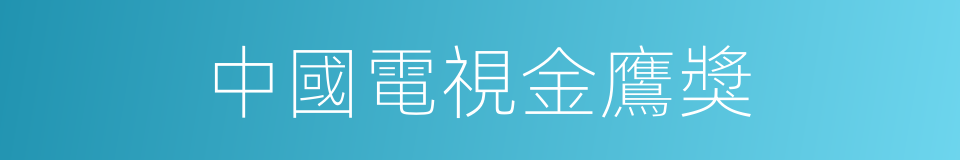 中國電視金鷹獎的同義詞