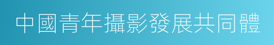 中國青年攝影發展共同體的同義詞