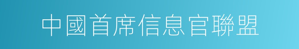 中國首席信息官聯盟的同義詞