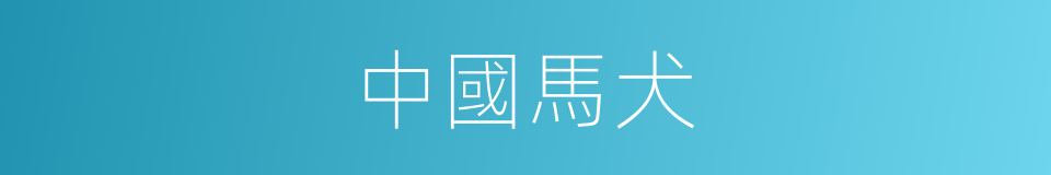 中國馬犬的同義詞